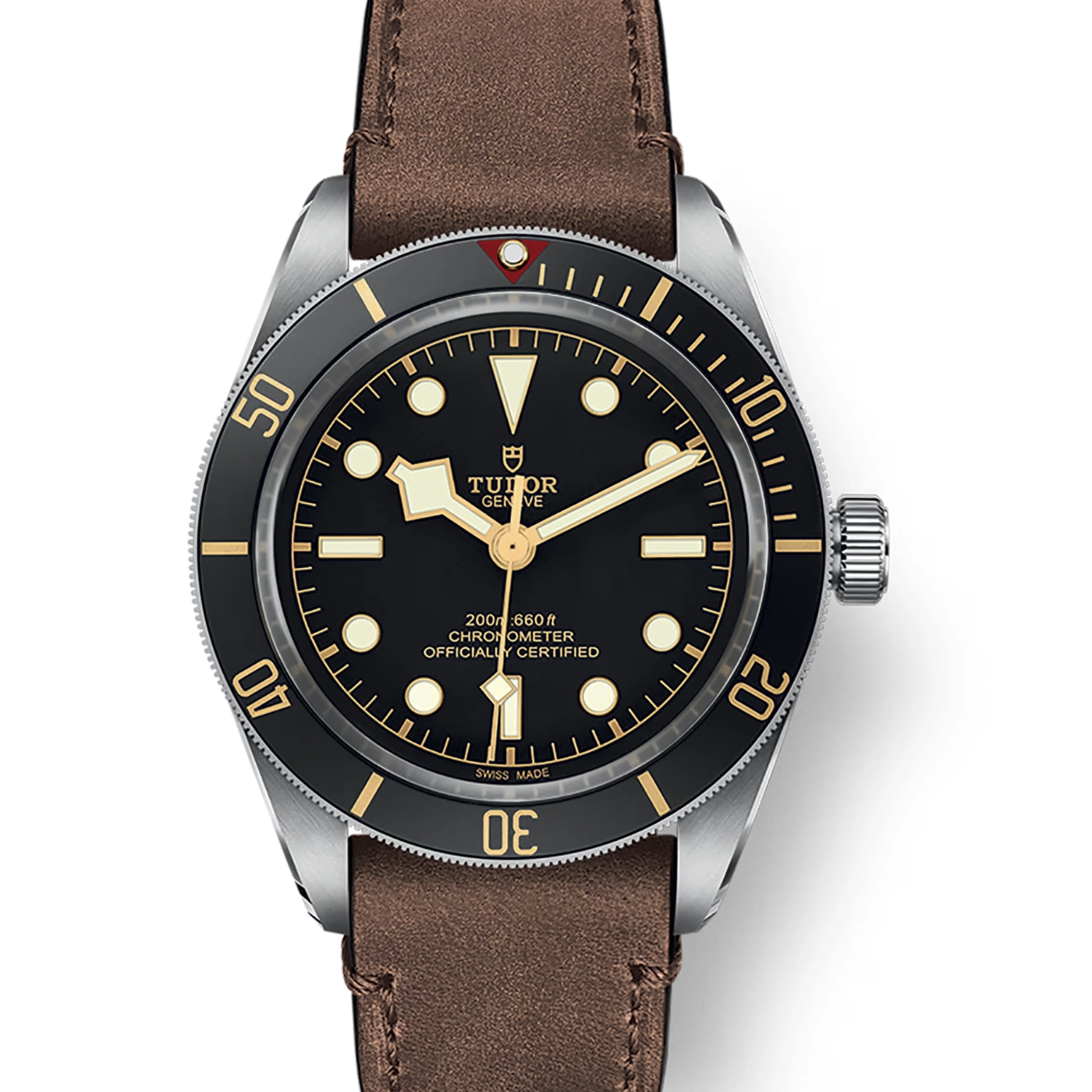 Tudor Black Bay